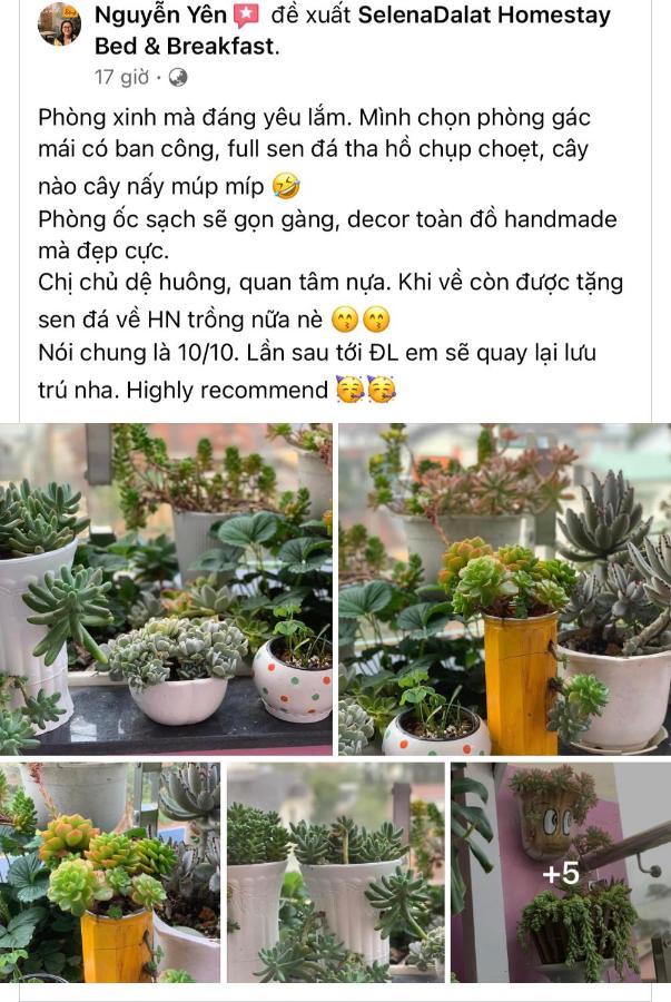 Selena Dalat Homestay エクステリア 写真